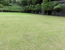 添付画像
