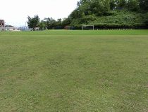 添付画像