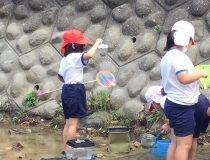 添付画像
