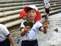 添付画像