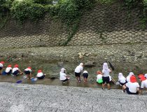 添付画像