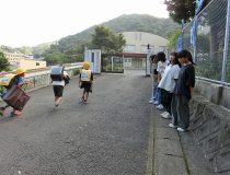 添付画像