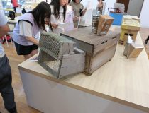 添付画像
