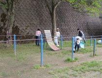 添付画像