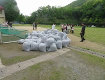 添付画像