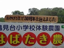 トピックスの画像