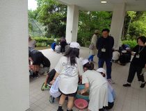添付画像