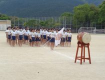添付画像