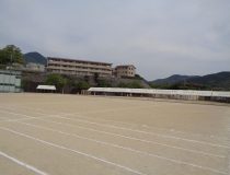添付画像