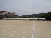 添付画像