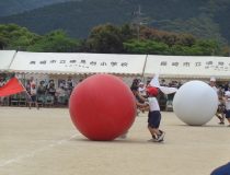 添付画像