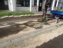 添付画像