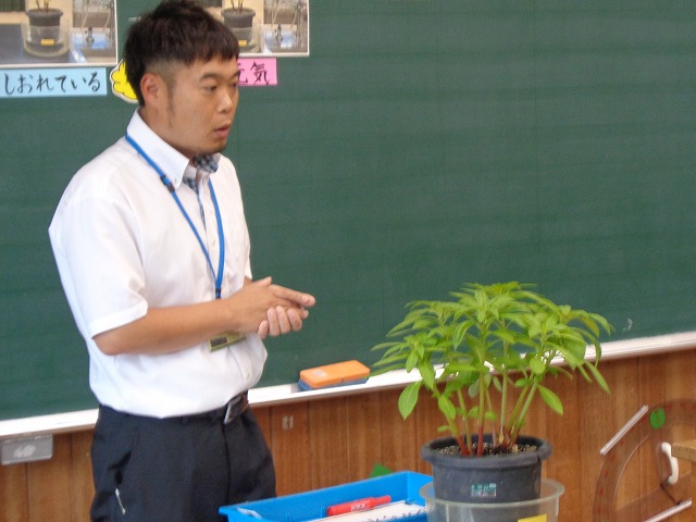 学力向上プランの画像