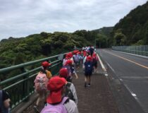 添付画像