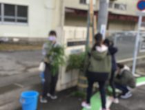 添付画像