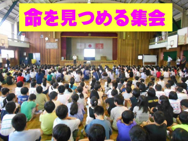 命を見つめる週間における校長講話の様子（6/26)の画像
