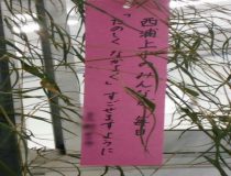 添付画像