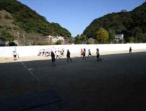 添付画像