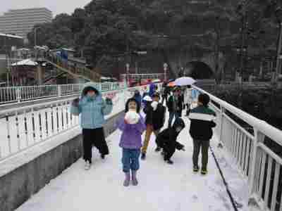 雪にも負けず……　（1/24）の画像