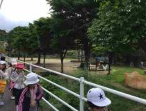 添付画像