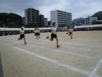 添付画像