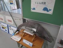 添付画像
