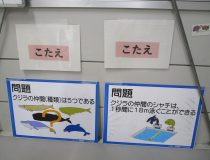 添付画像
