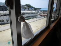 添付画像