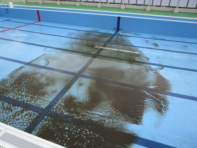 プール清掃　続報の画像