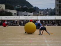 添付画像