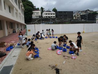 ミニトマトを植えたよ（２年生）の画像