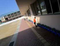 添付画像