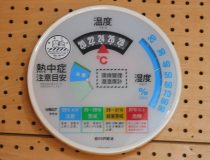 添付画像