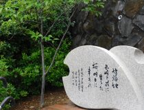 添付画像