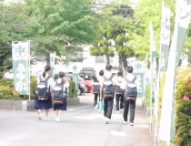 添付画像