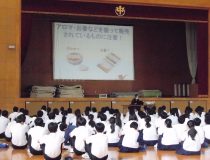 添付画像
