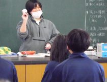 添付画像