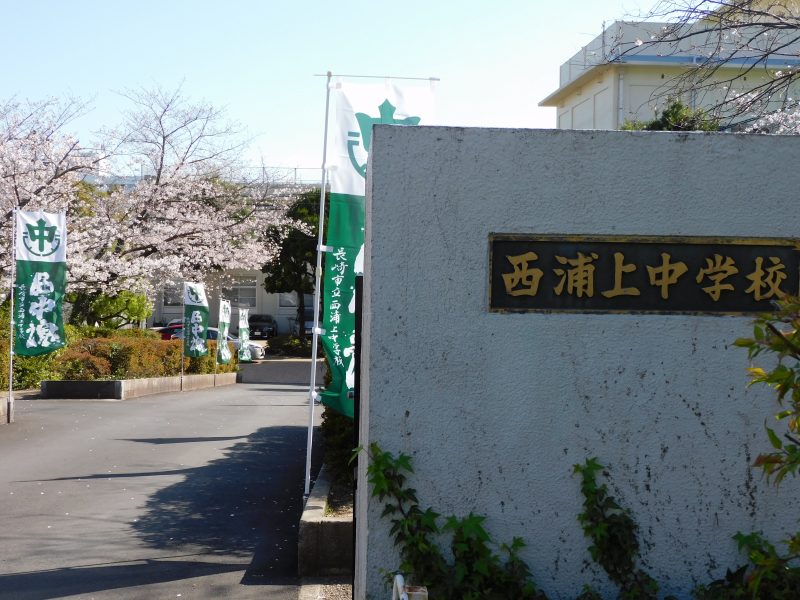 桜　満開です。の画像