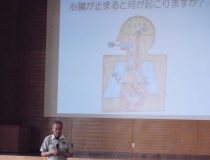 添付画像