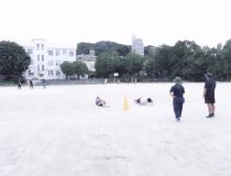 添付画像
