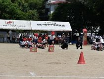 添付画像
