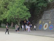 添付画像
