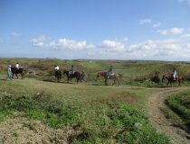 トピックスの画像