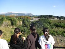 トピックスの画像