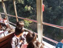 トピックスの画像