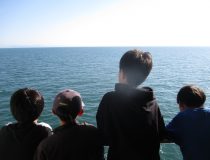 トピックスの画像