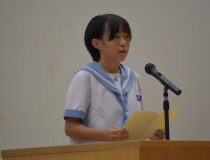 添付画像
