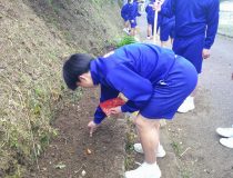 添付画像