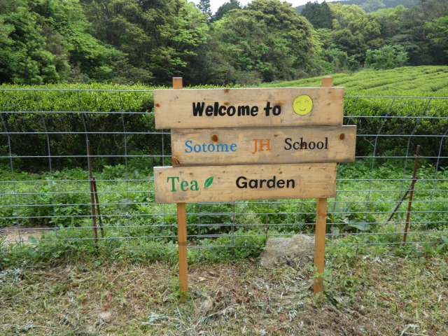 茶園の除草作業の画像