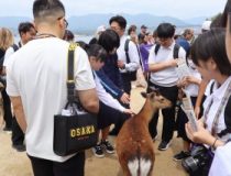 添付画像